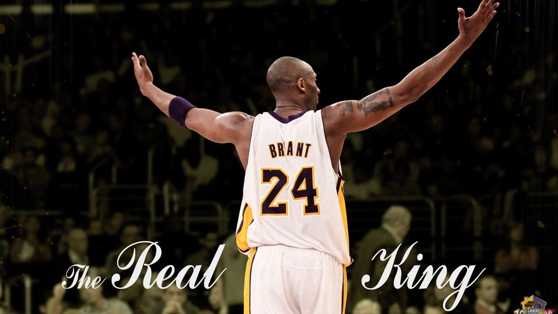 全国青训盛会：培养未来国家队核心力量，全国青训营